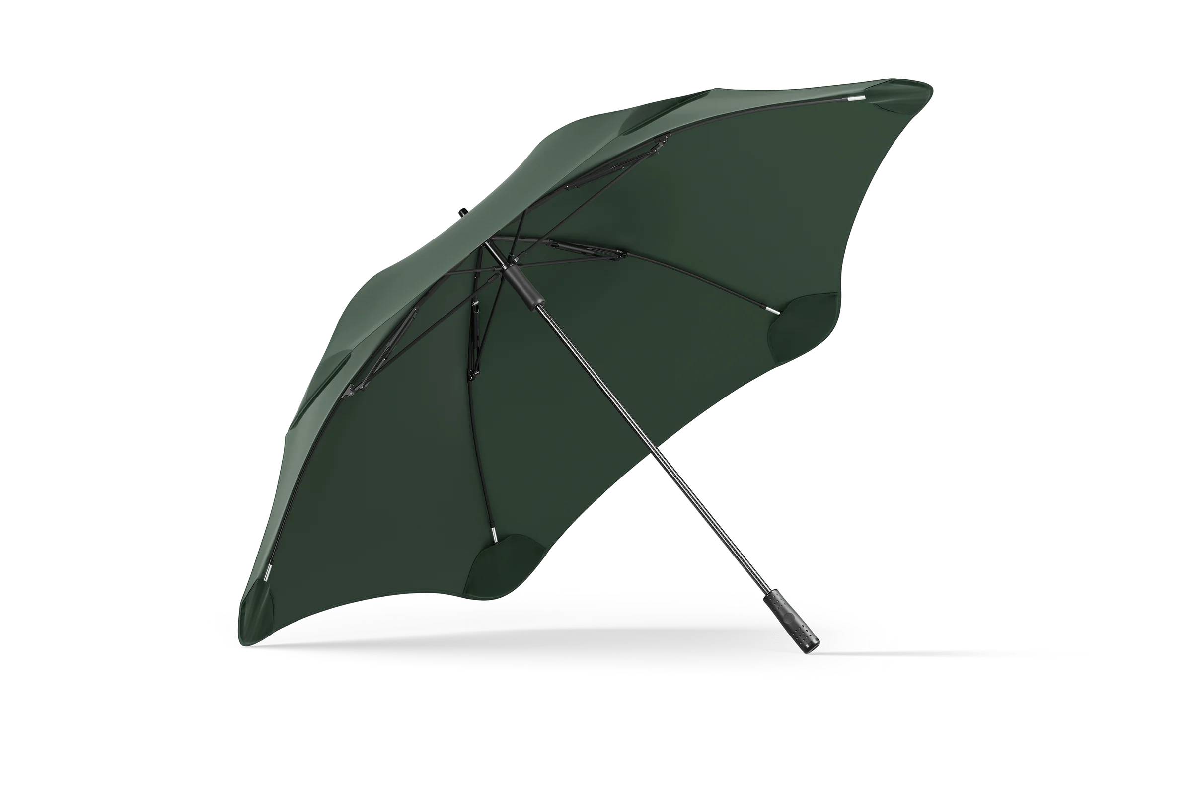Win a sport Blunt Umbrella