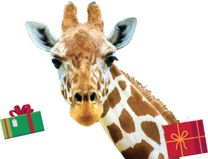 Win a family pass to Auckland Zoo